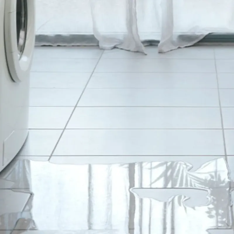 Appliance Leak Cleanup in Gibsonburg, OH