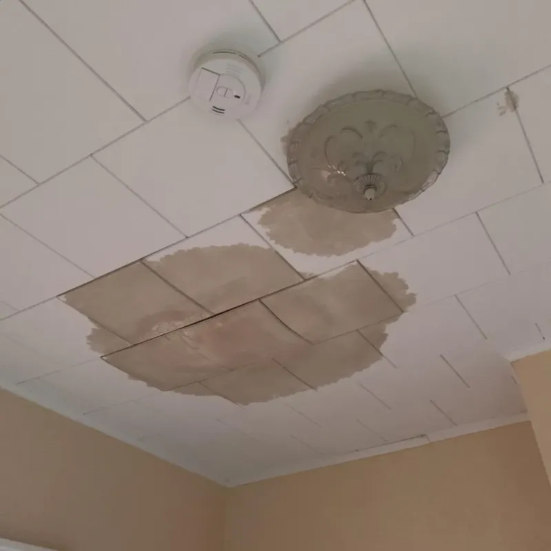 Ceiling Water Damage Repair in Gibsonburg, OH
