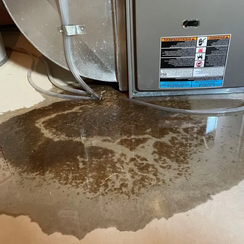 Pipe Burst and Leak Restoration in Gibsonburg, OH