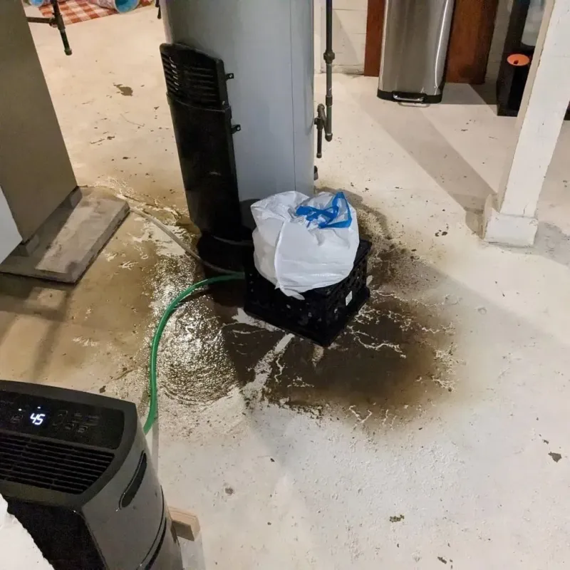 Sewage Backup Cleanup Service in Gibsonburg, OH